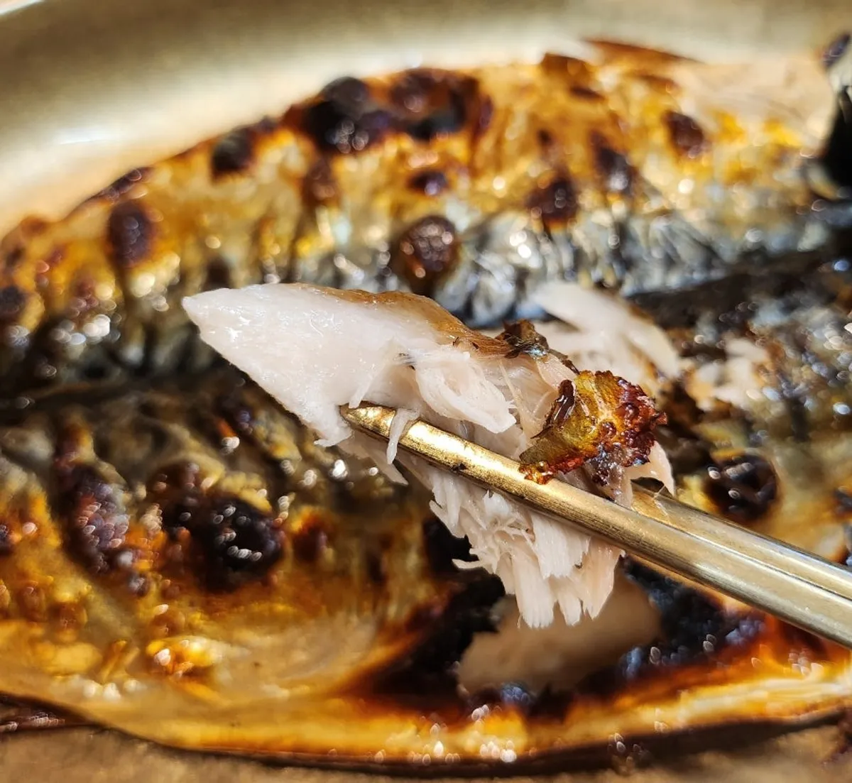 Hwadamga's wood-fired mackerel set, main image