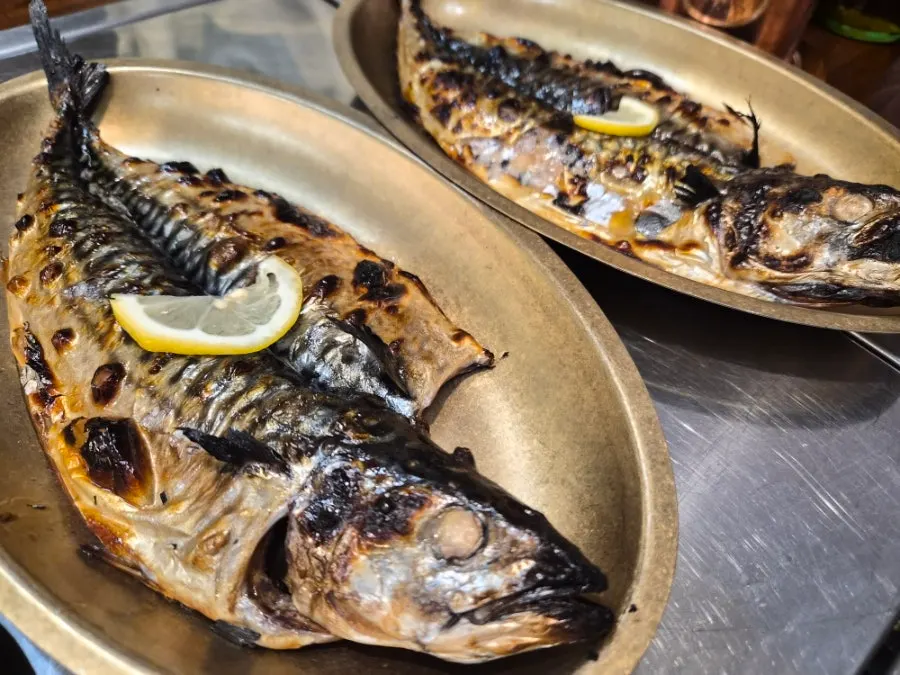 Plump mackerel grilled over a wood fire