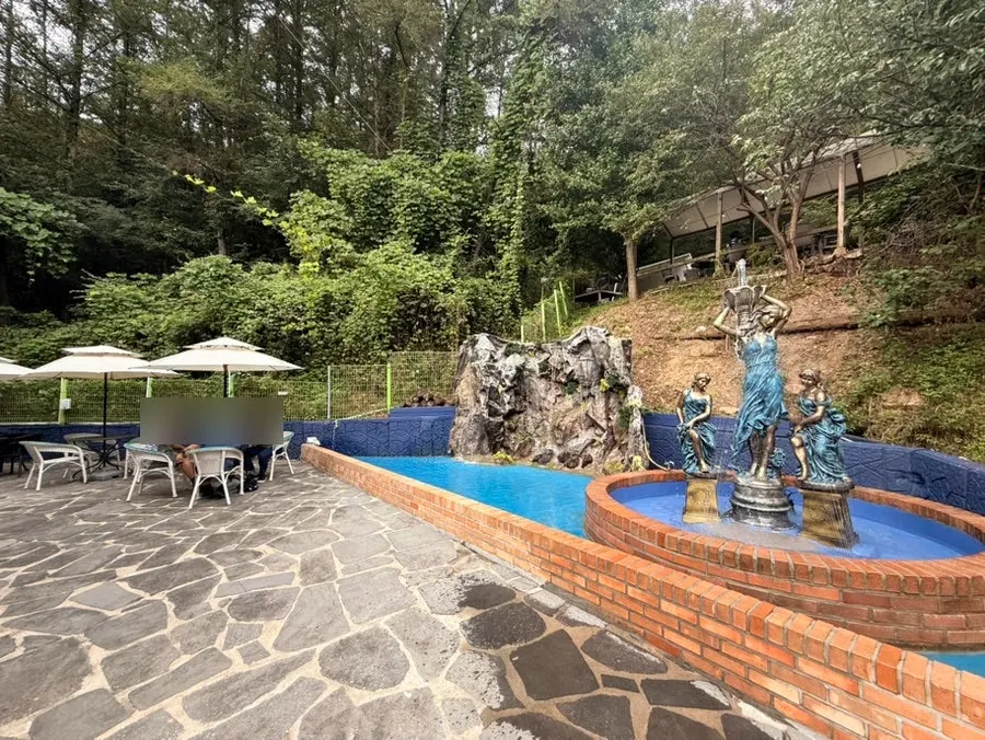 Spacious outdoor picnic garden behind the La Cuesta building