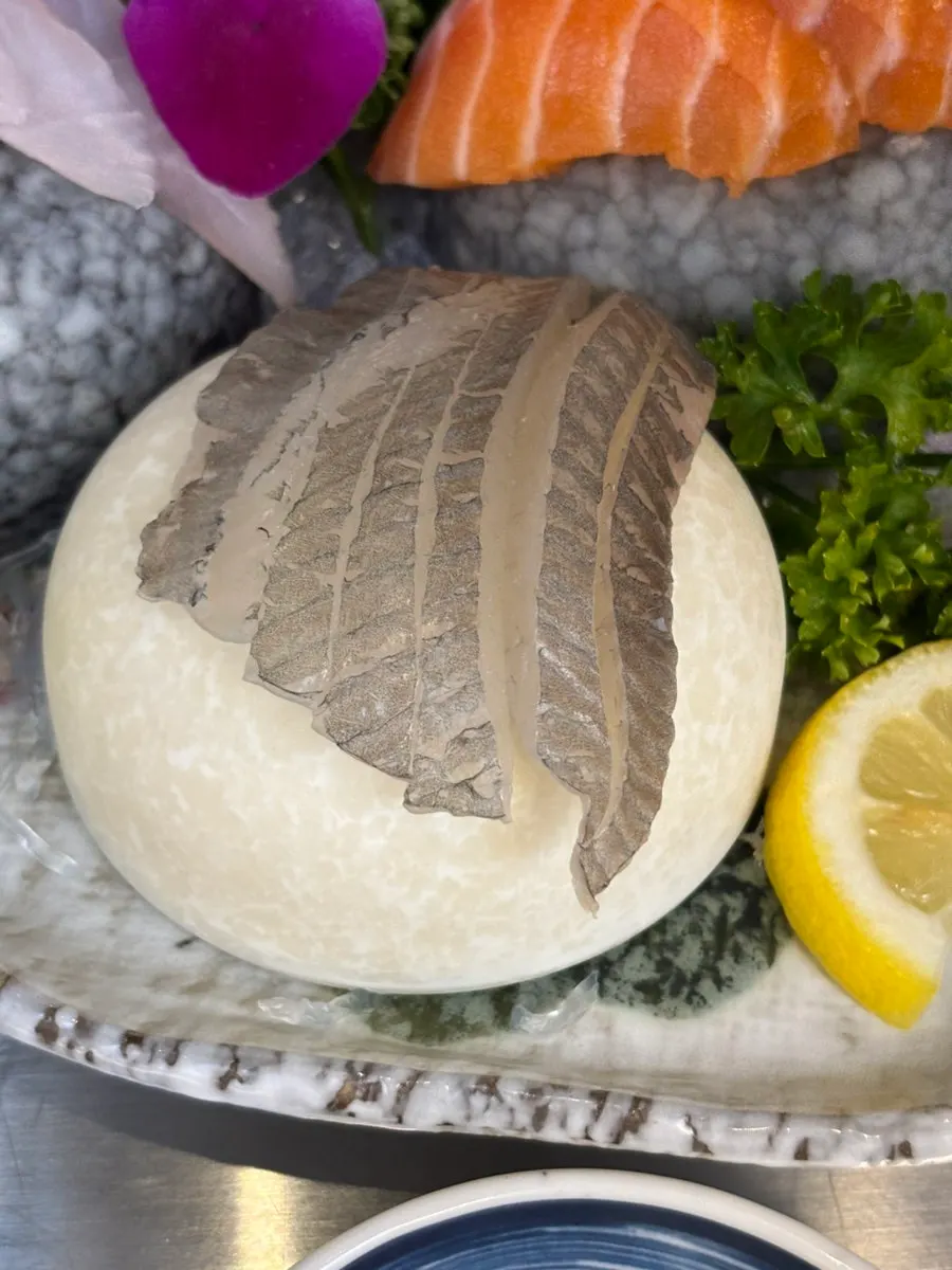Crisp, chewy seasonal flatfish sashimi