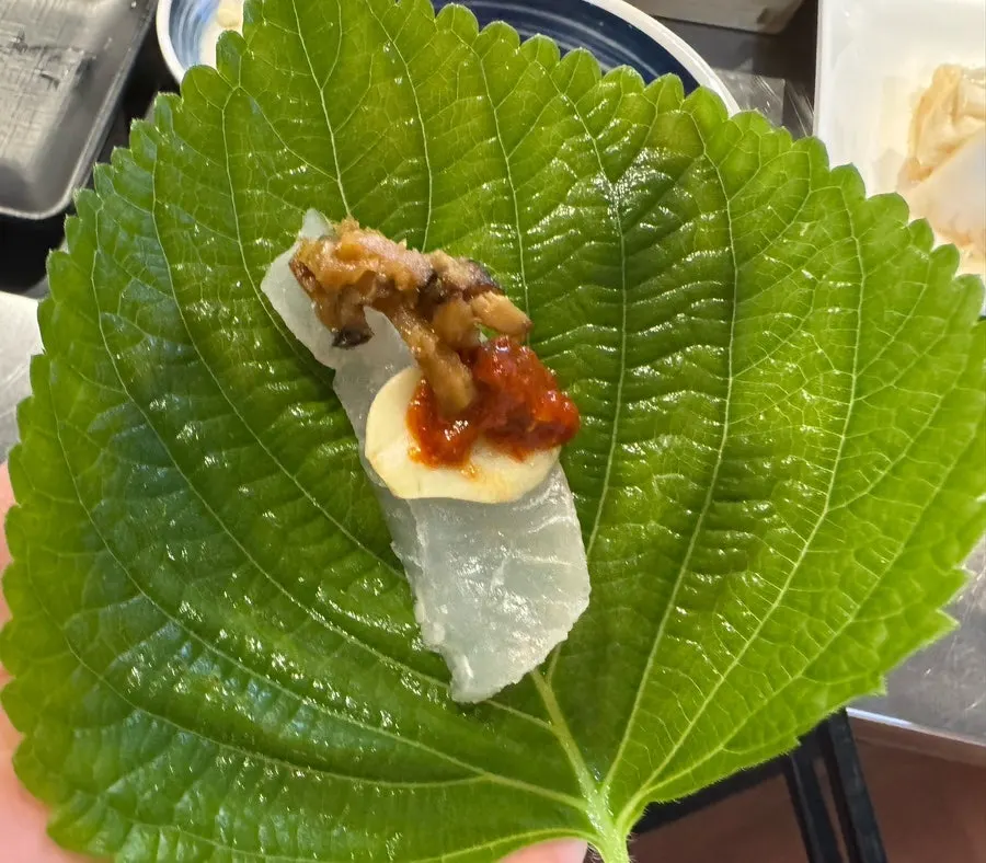 종류별로 담긴 모듬회 클로즈업