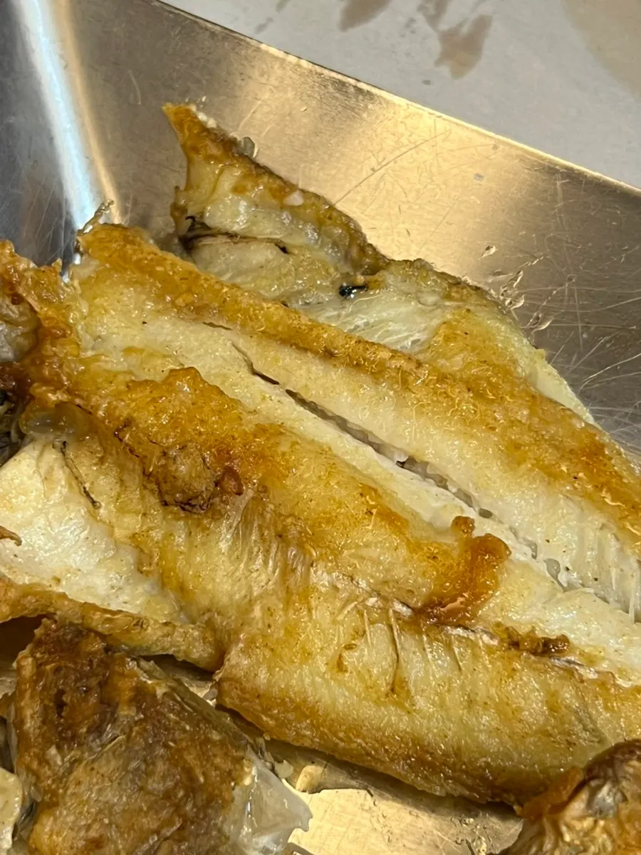 Grilled cod collar and flounder