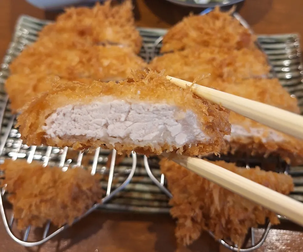 The pork katsu plate shared with my son