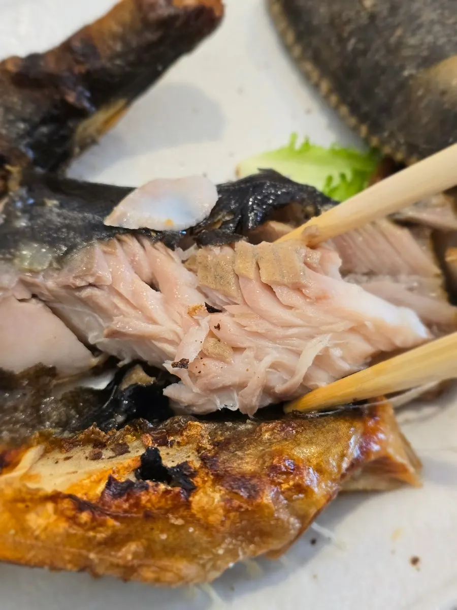 Flaking apart the salt-grilled Atka mackerel