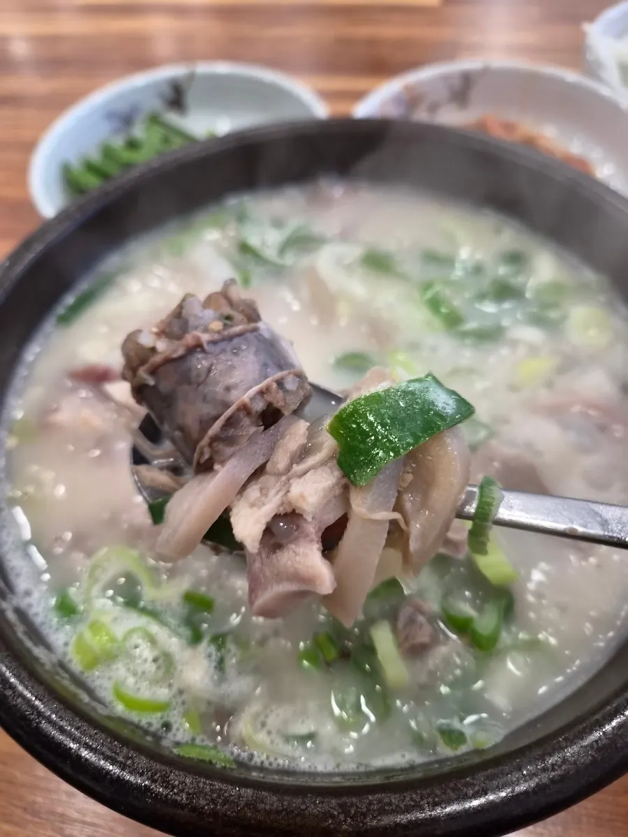 A full spread of special sundae-guk and galbi mandu
