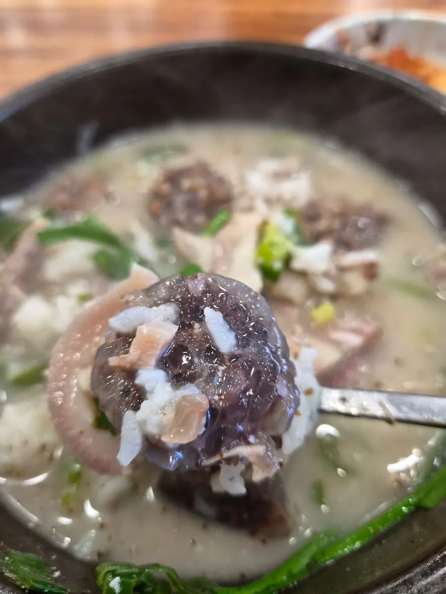 Lunch with galbi mandu alongside sundae-guk