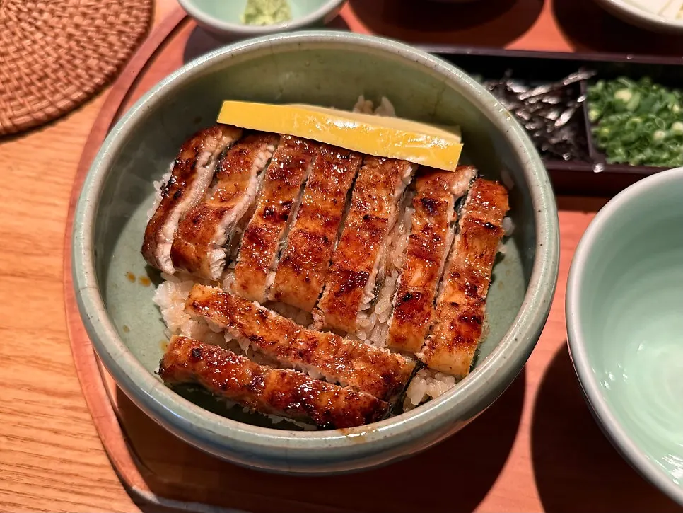 Close-up of the half-portion eel rice bowl