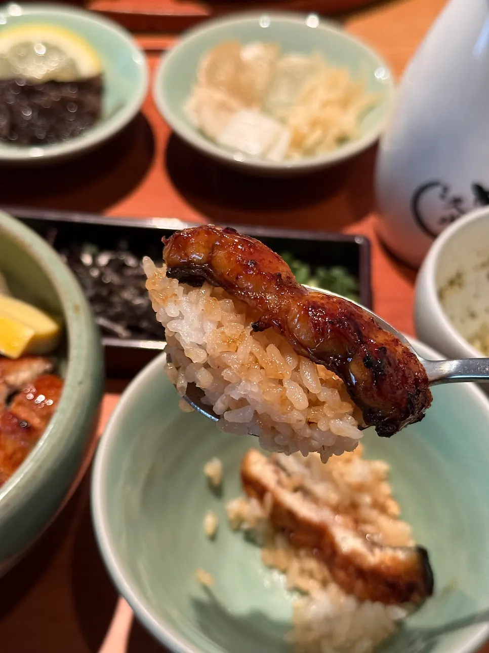 Eel and rice tasted plain as is