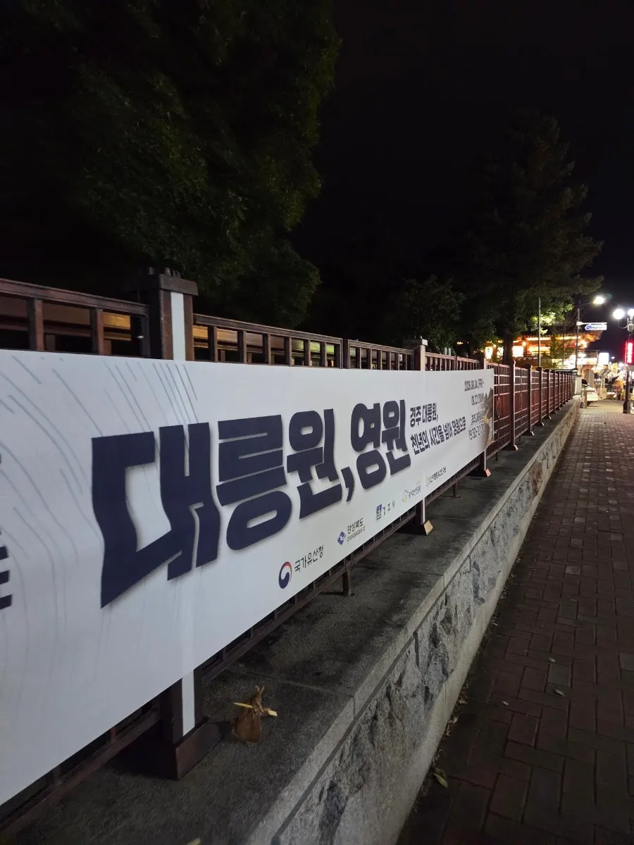 경주 대릉원 미디어아트 관람 전 모습