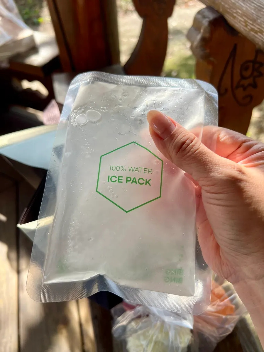 Mochi and ice pack inside the cooler bag