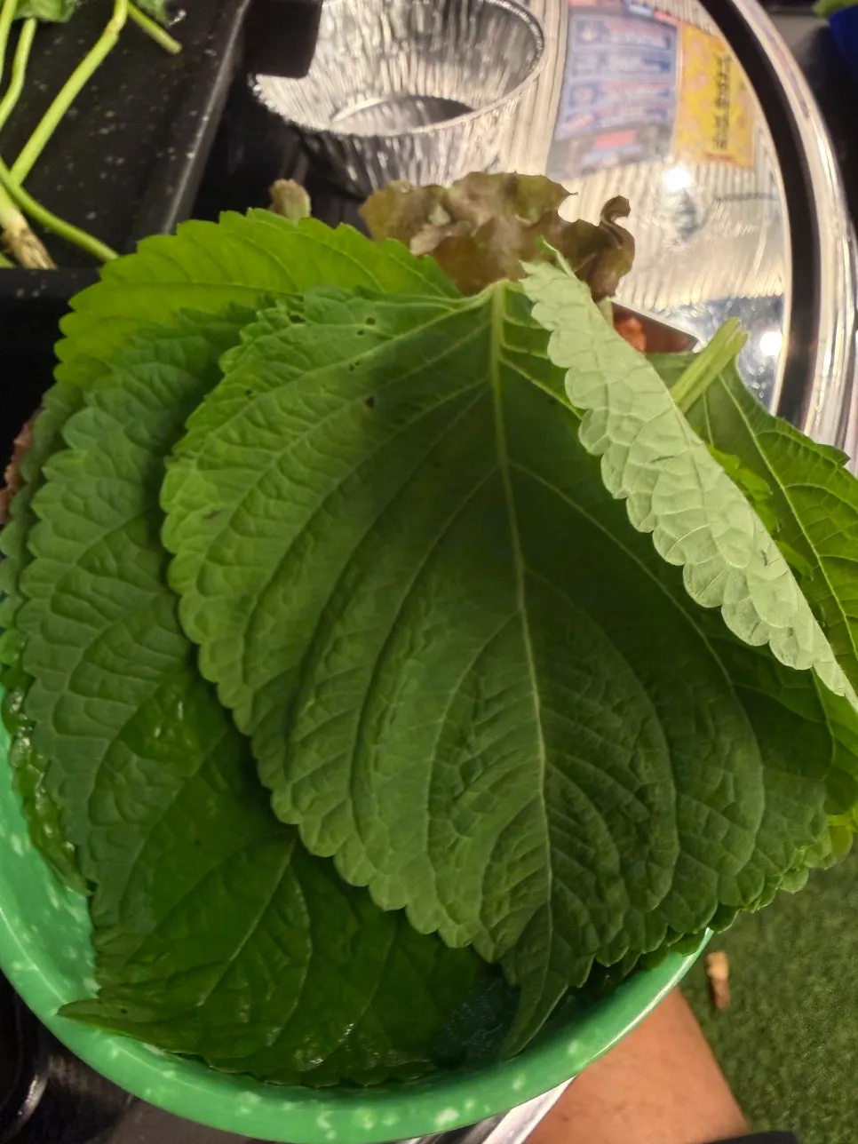 Plate of fresh lettuce wraps