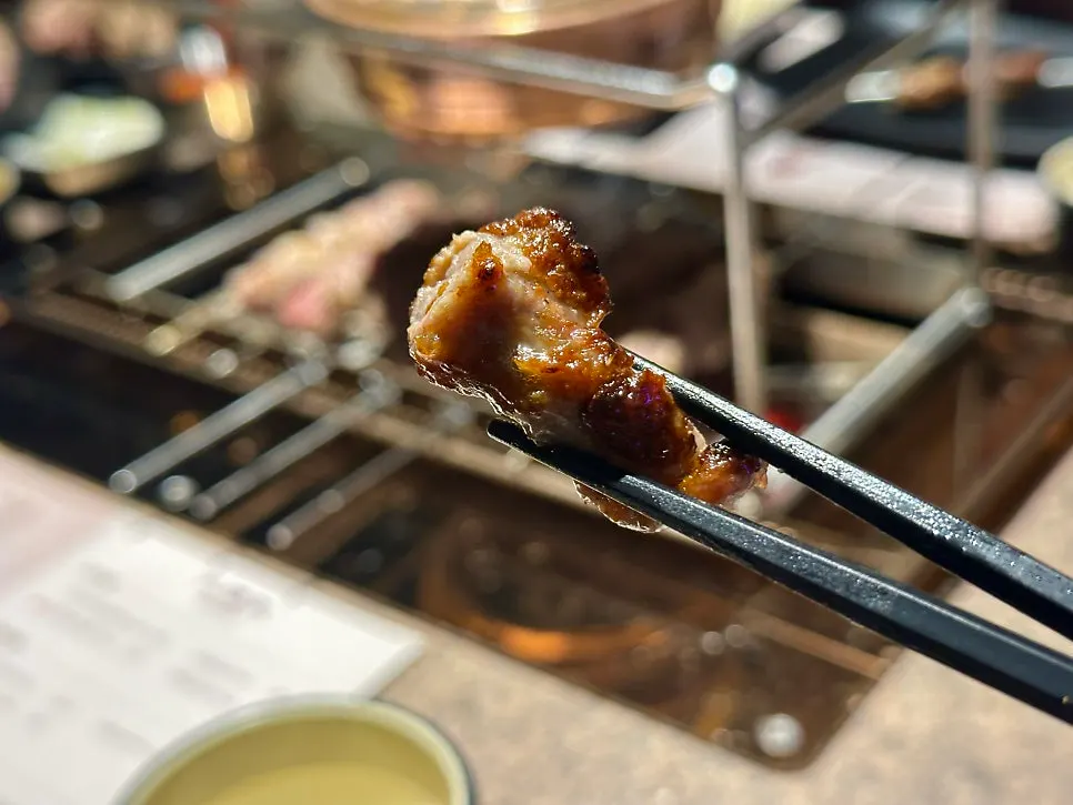 Lamb sirloin skewer with large chunks of meat