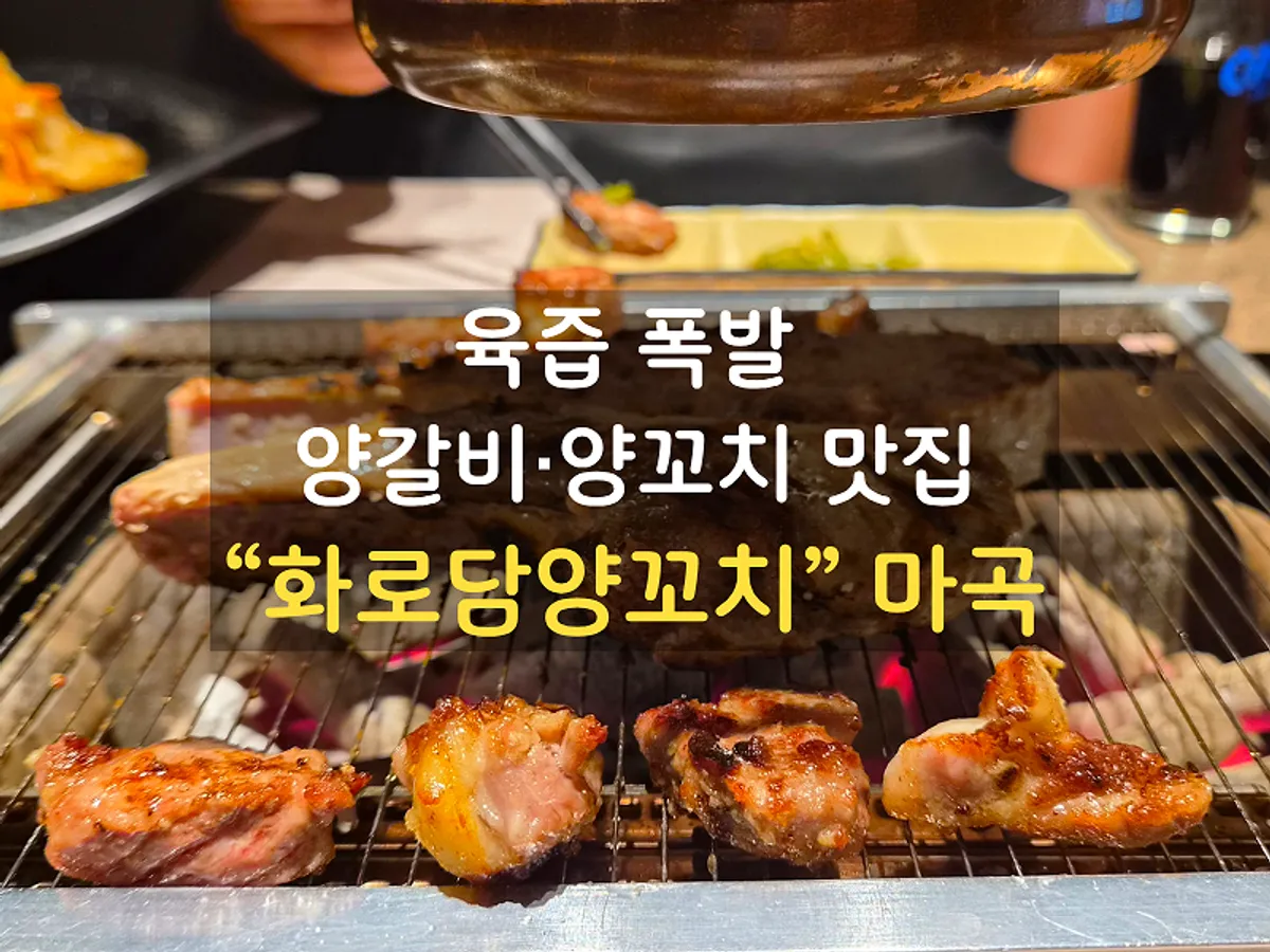 화로담양꼬치 마곡 양갈비 대표 사진
