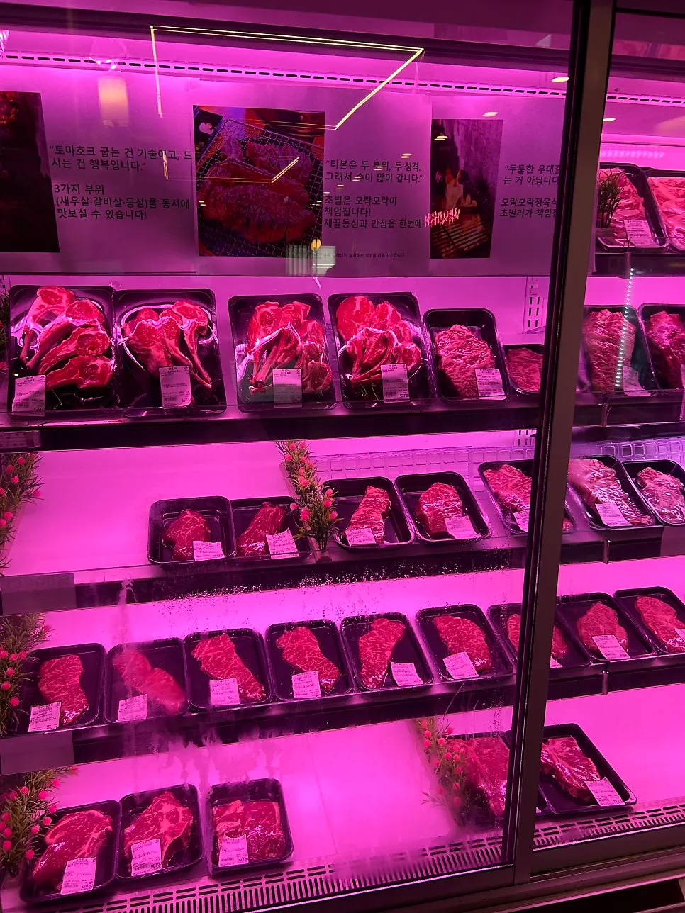 Butcher’s display case meat selection area