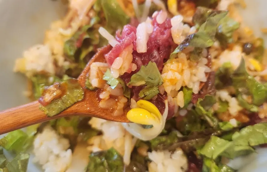 The yukhoe bibimbap fully mixed together