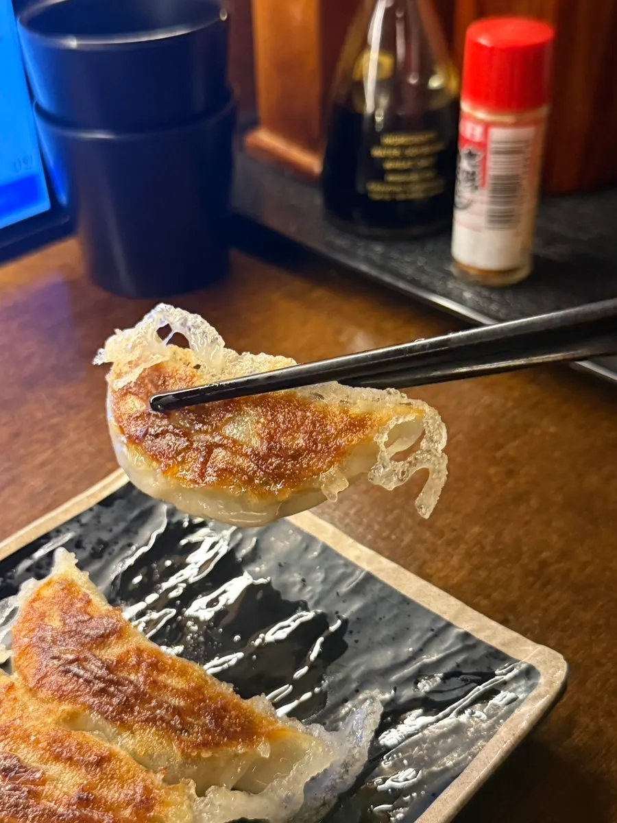 Crisply fried gyoza dumplings