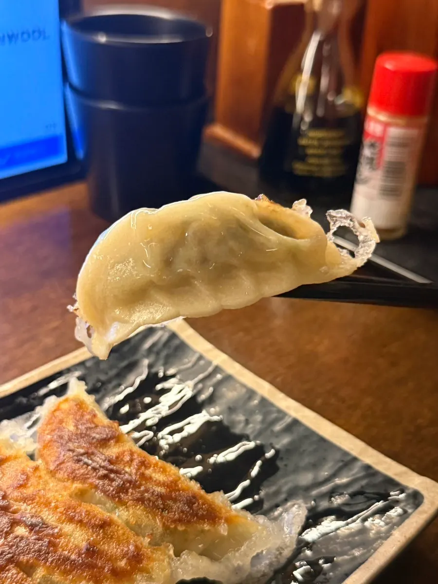 Gyoza dumplings with a moist filling