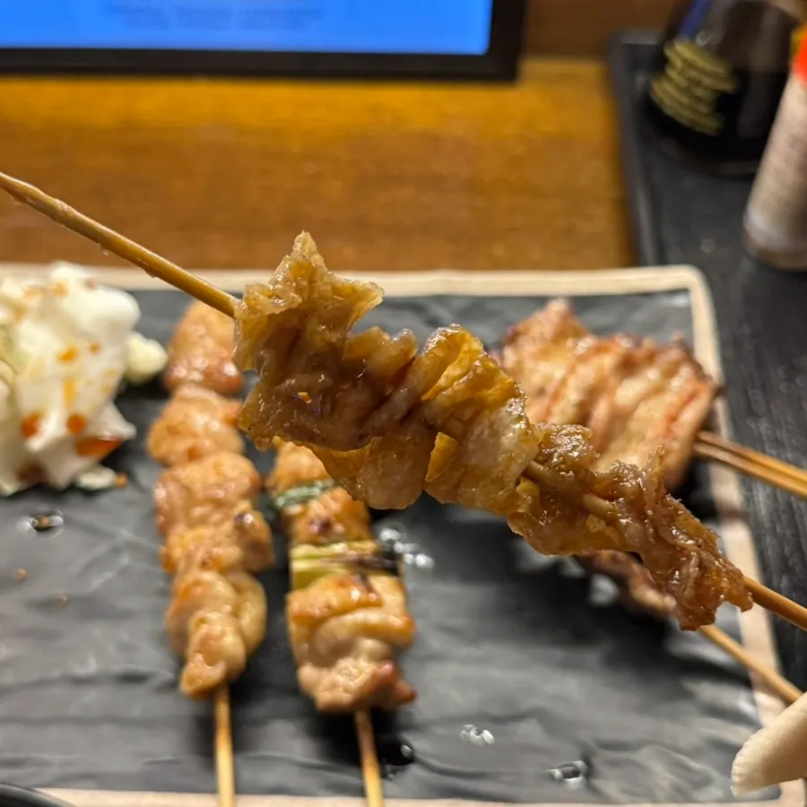 Plate of charcoal yakitori 5 skewers