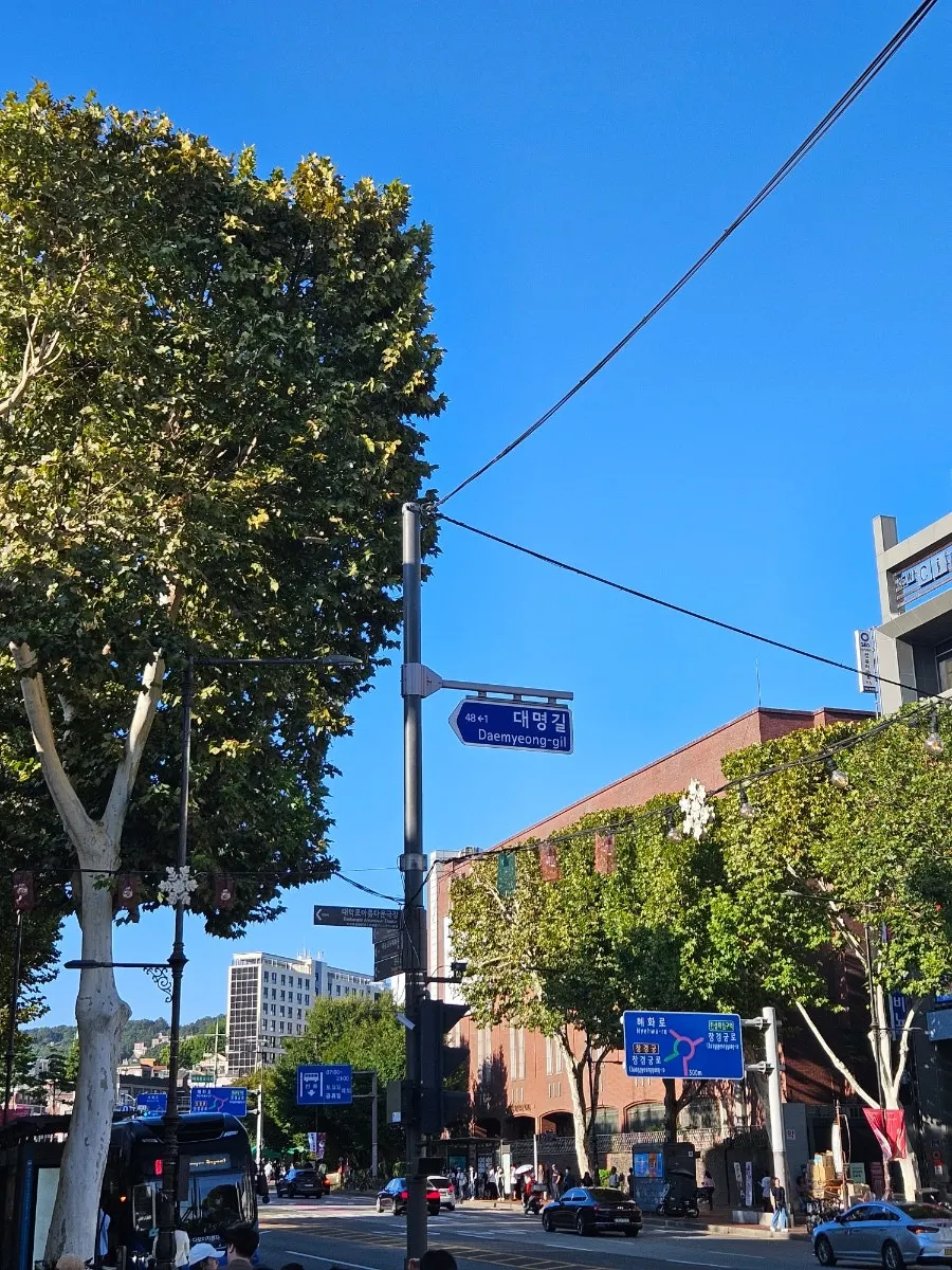 Daehangno street scene under bright autumn sunlight