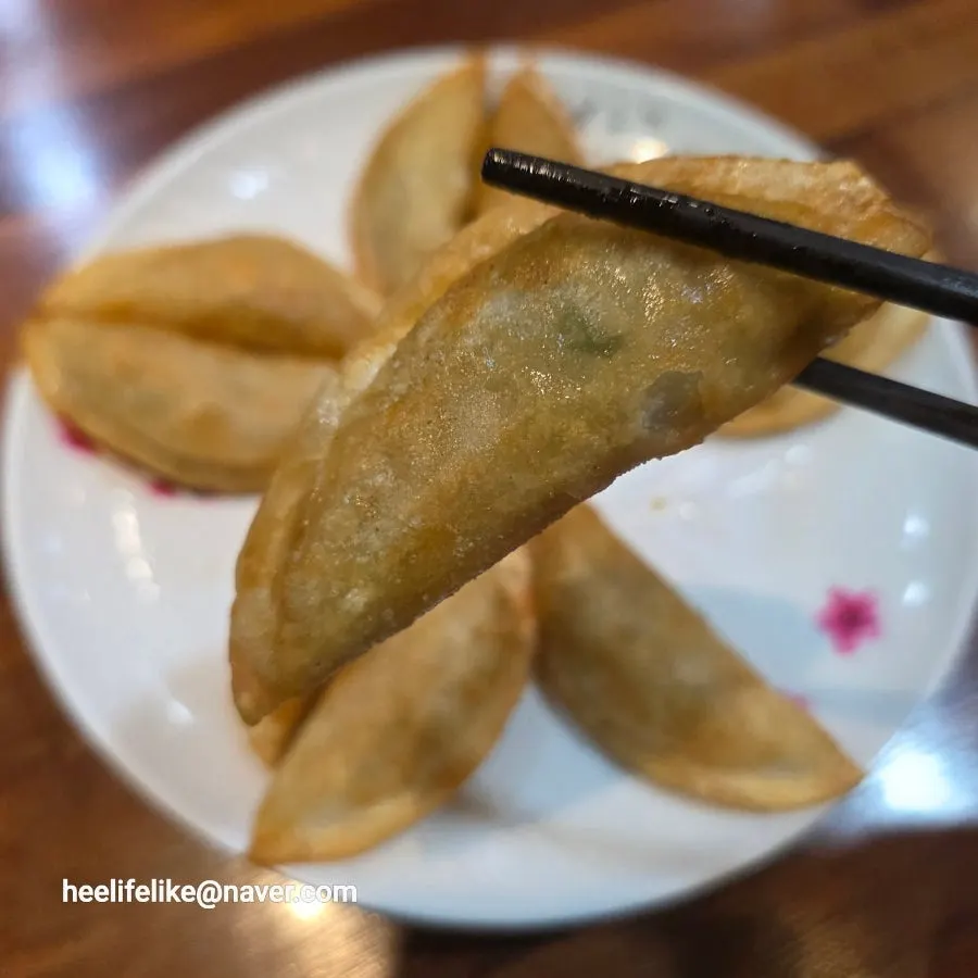 Crispy fried dumplings