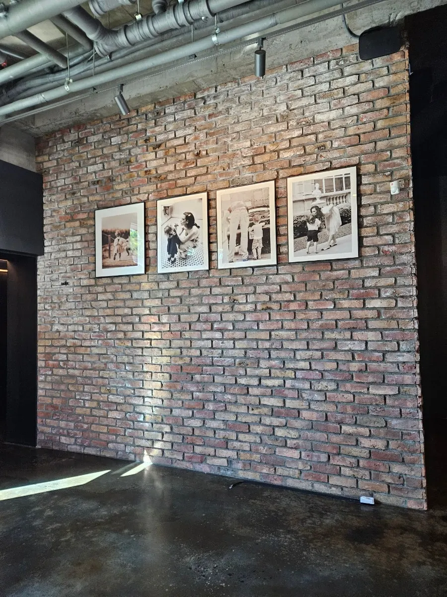 Interior decor of Mokushura Table