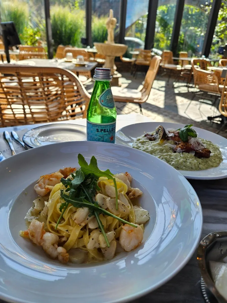 Pasta and risotto set out in the greenhouse seating