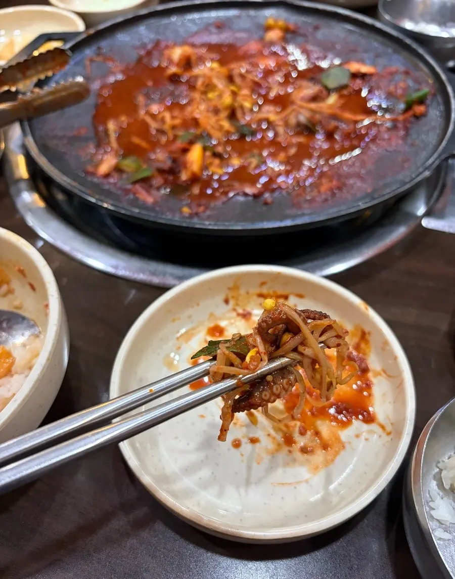 매콤한 양념의 오동통한 쭈꾸미 클로즈업