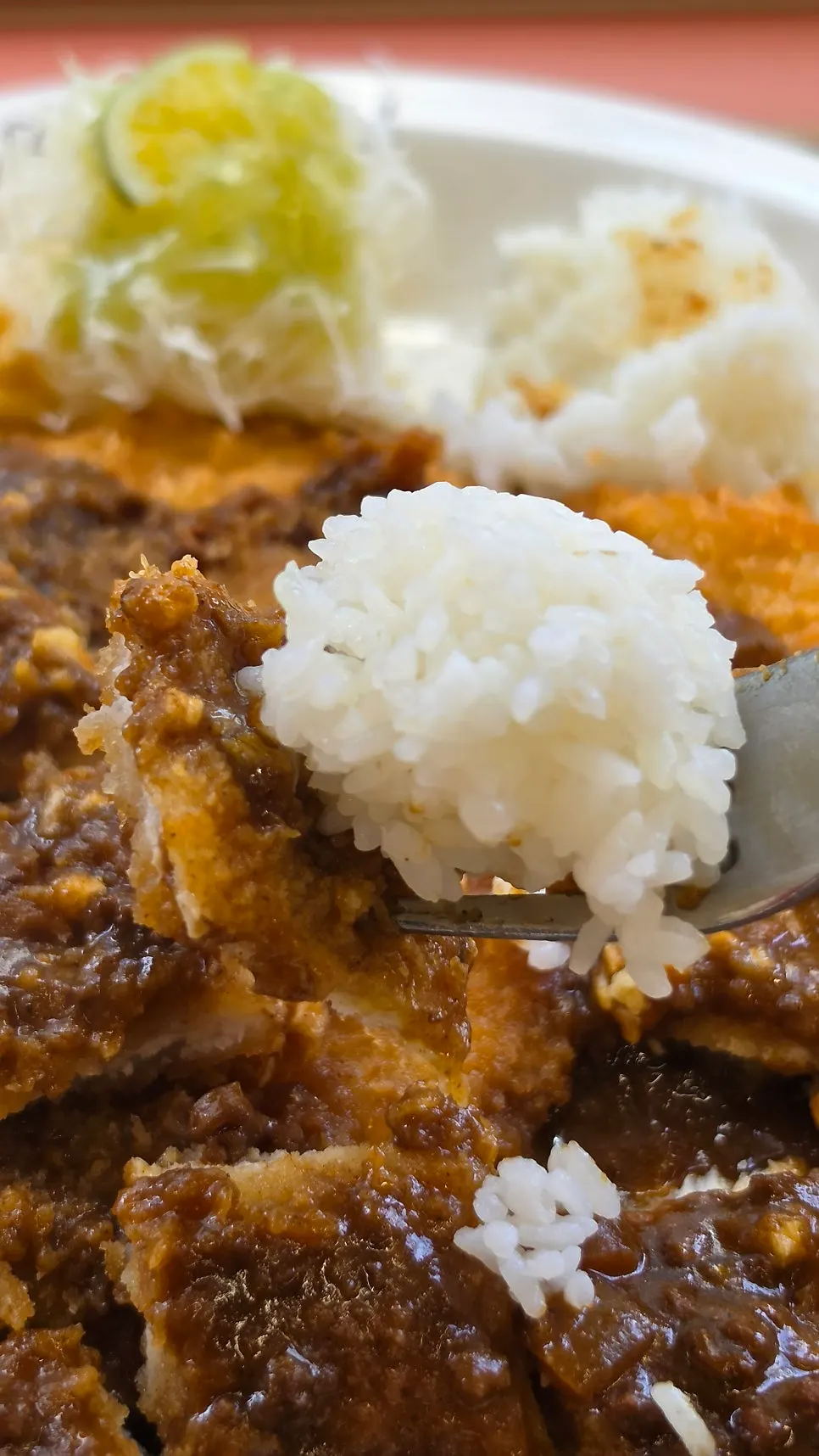 A plate with two pork cutlets and rich curry