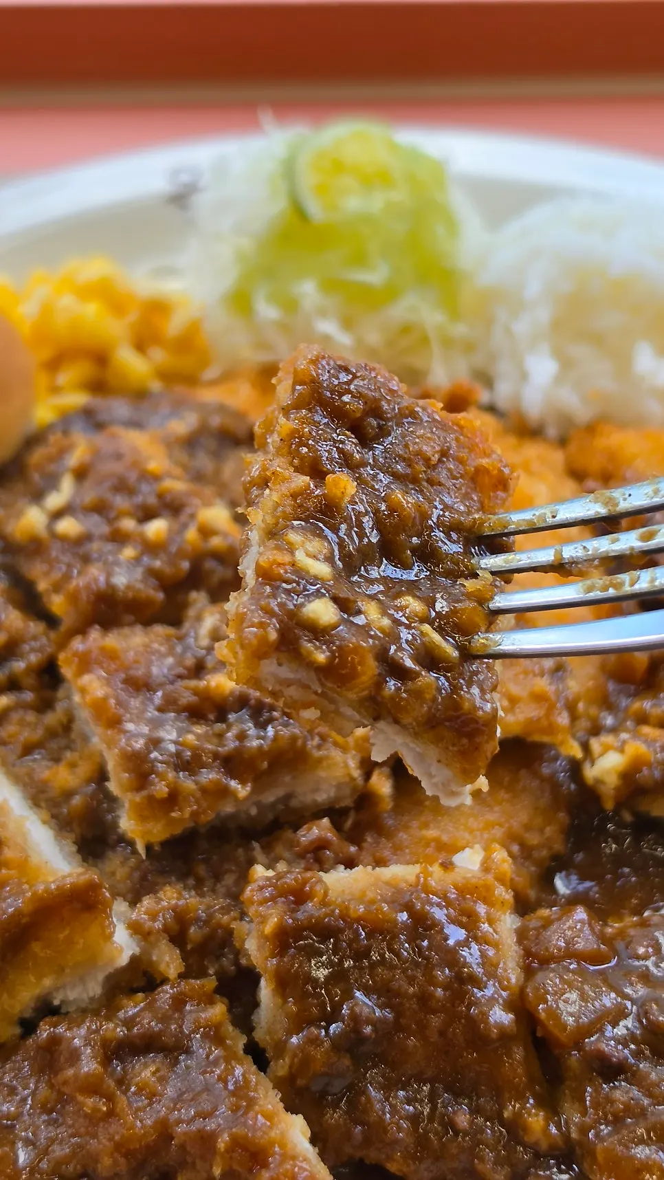 A bowl of rich curry rather than curry sauce
