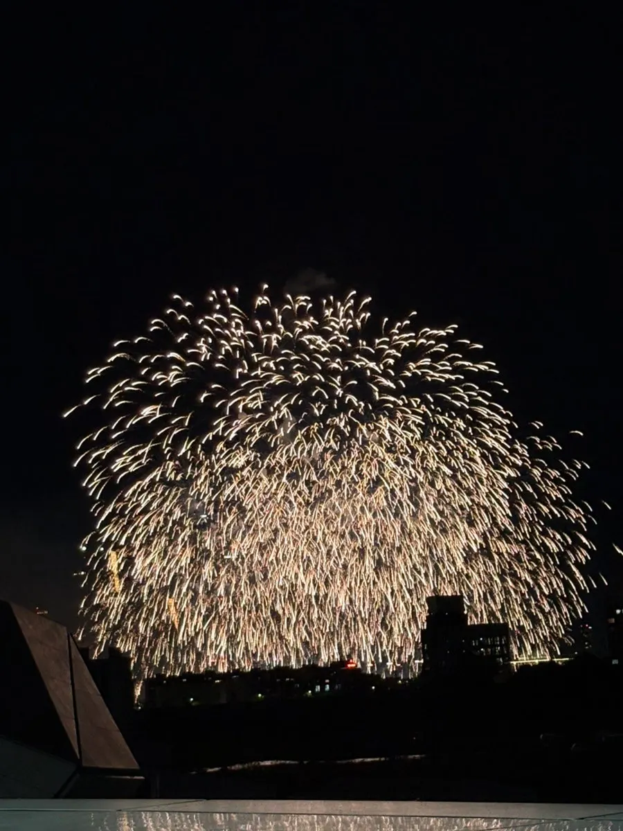 Fireworks lighting up the night sky near Yongsan Station