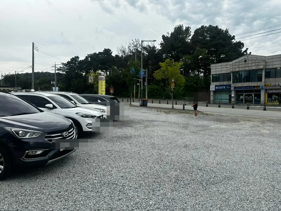 백온정 염소 넓은 주차장