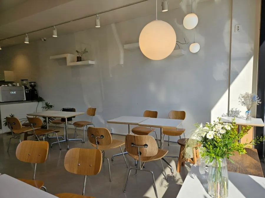 Lapins interior decorated with wood-tone furniture and plants
