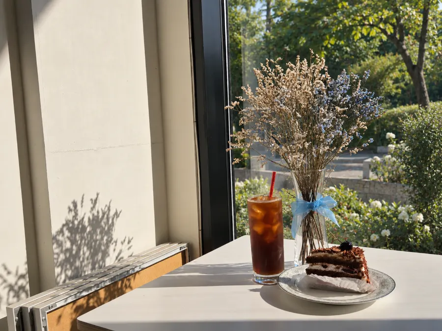 Quiet window seat at Lapins on a weekday afternoon