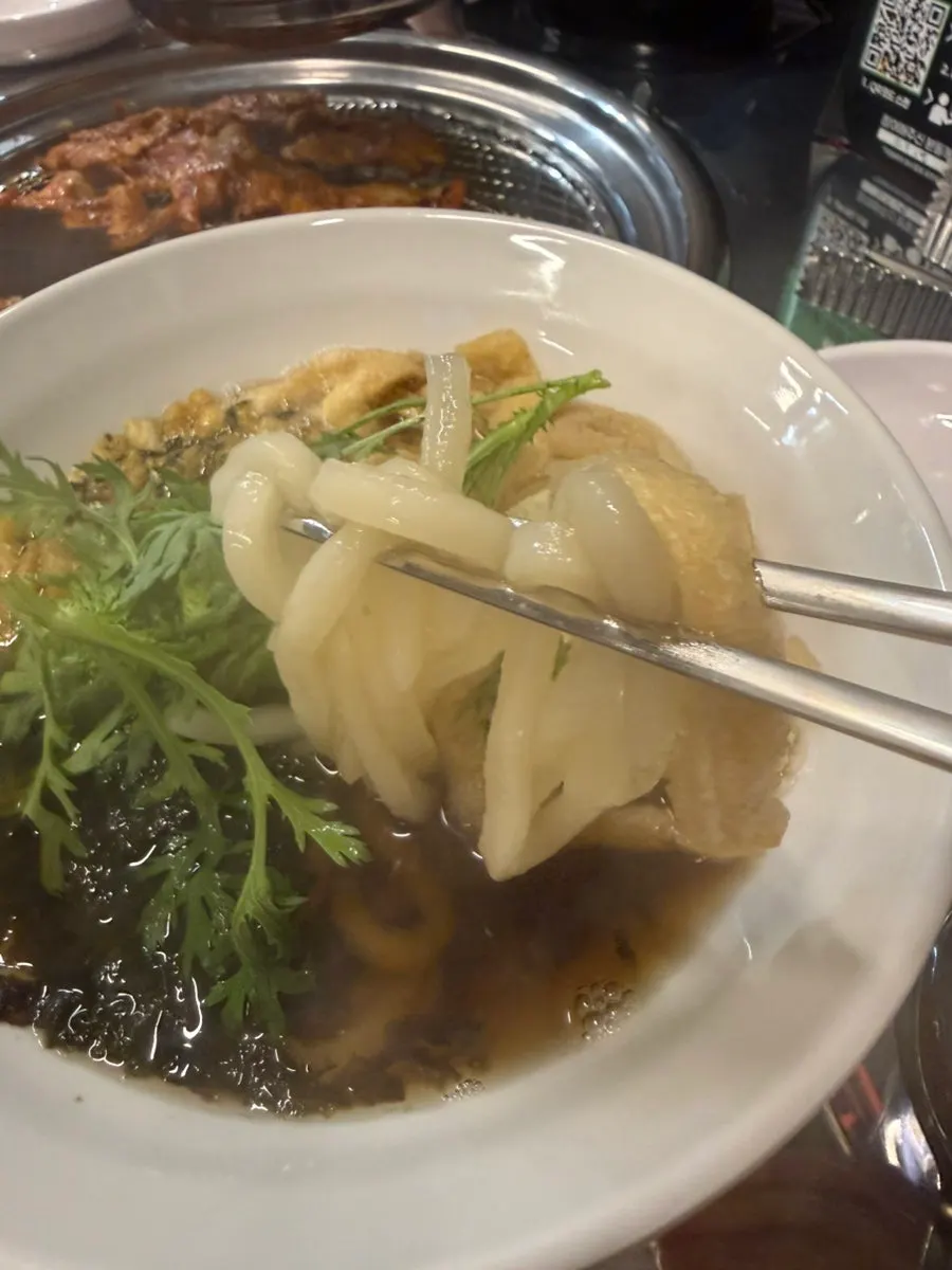 Lifting up a portion of udon noodles