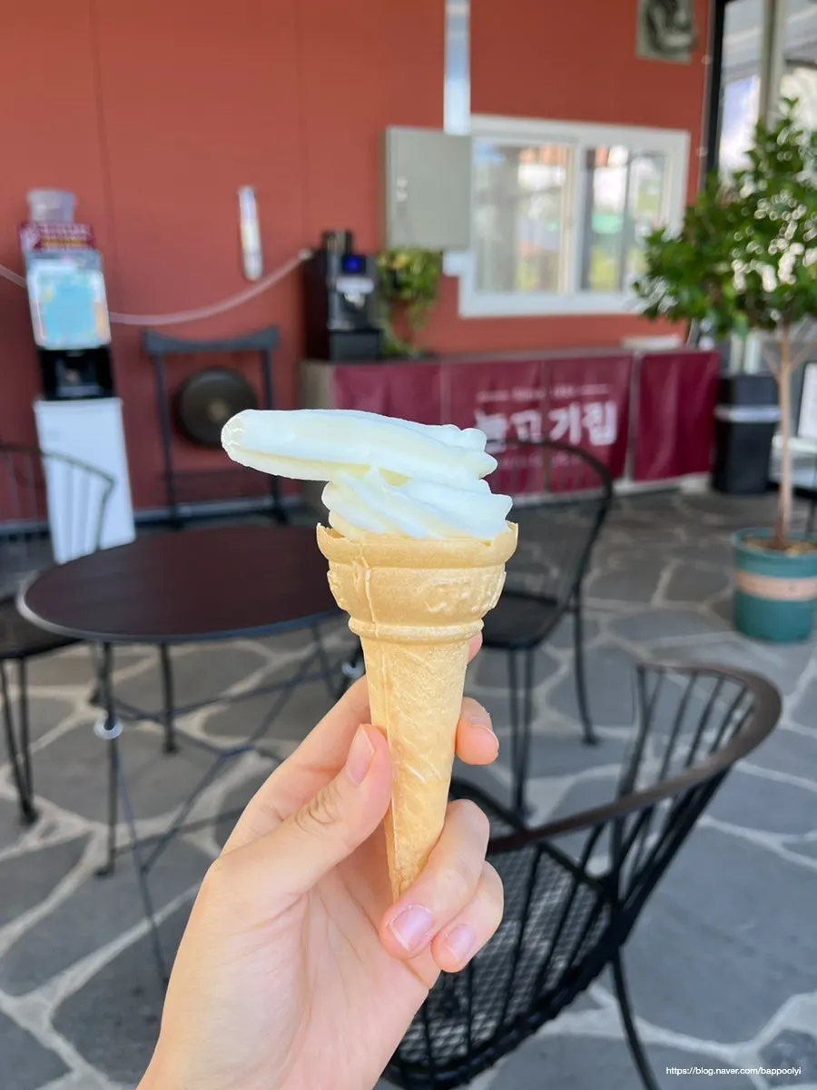 A homemade soft-serve ice cream dessert