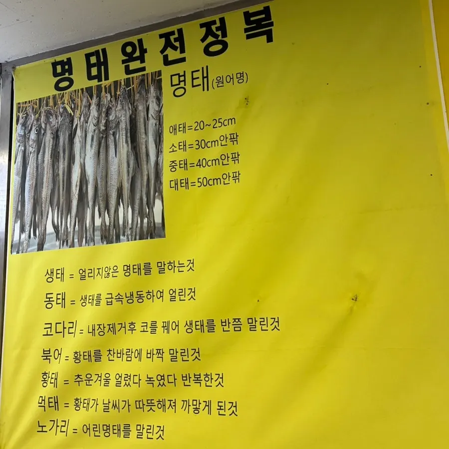 가게 안에 걸린 명태 완전 정복 현수막