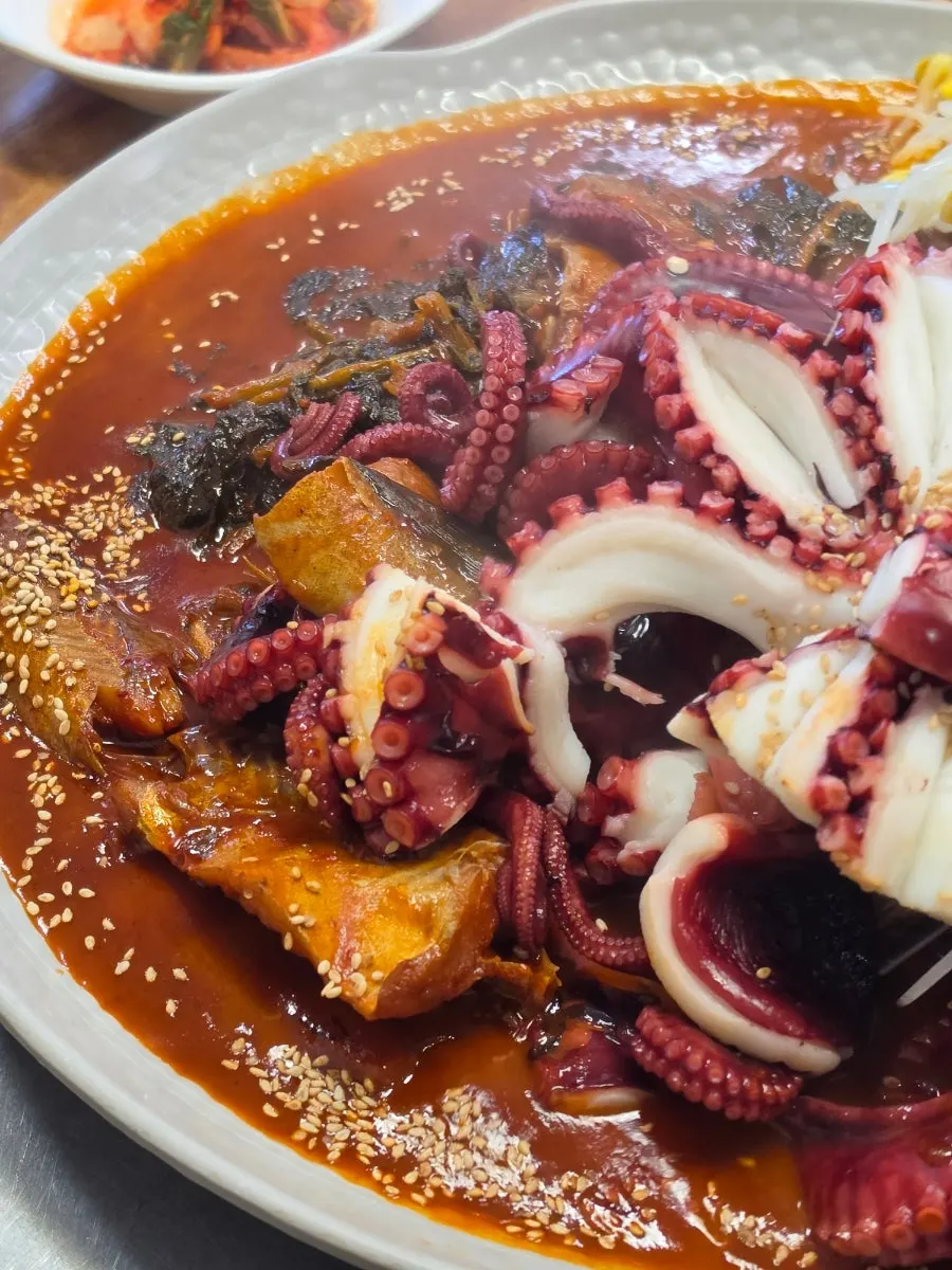 Plate full of kodari and octopus braise