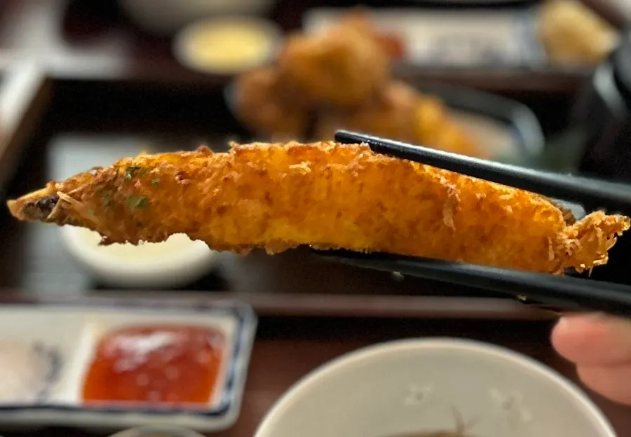 갓 튀긴 가라아게 5조각