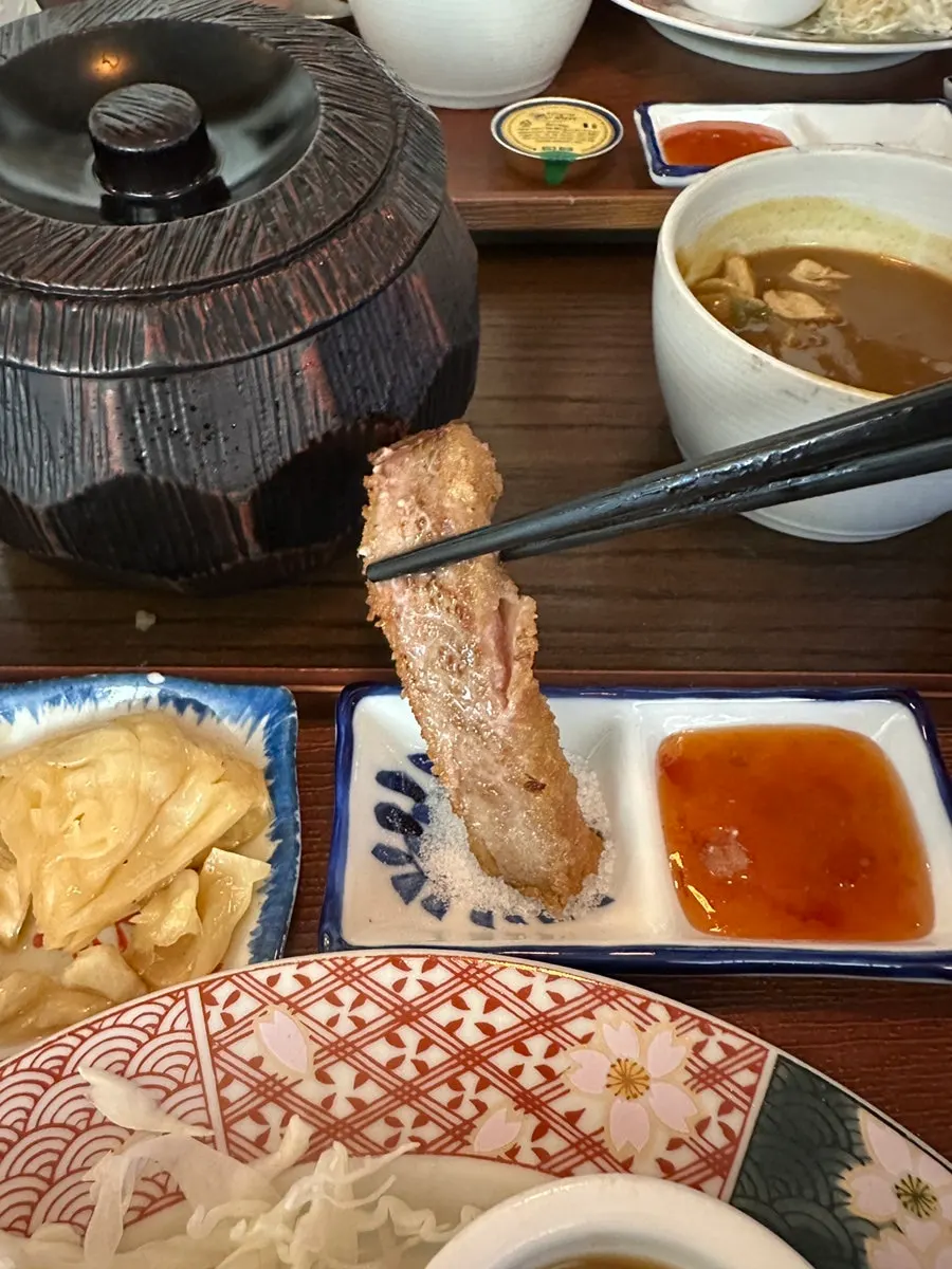Table spread with mini curry and gyukatsu together