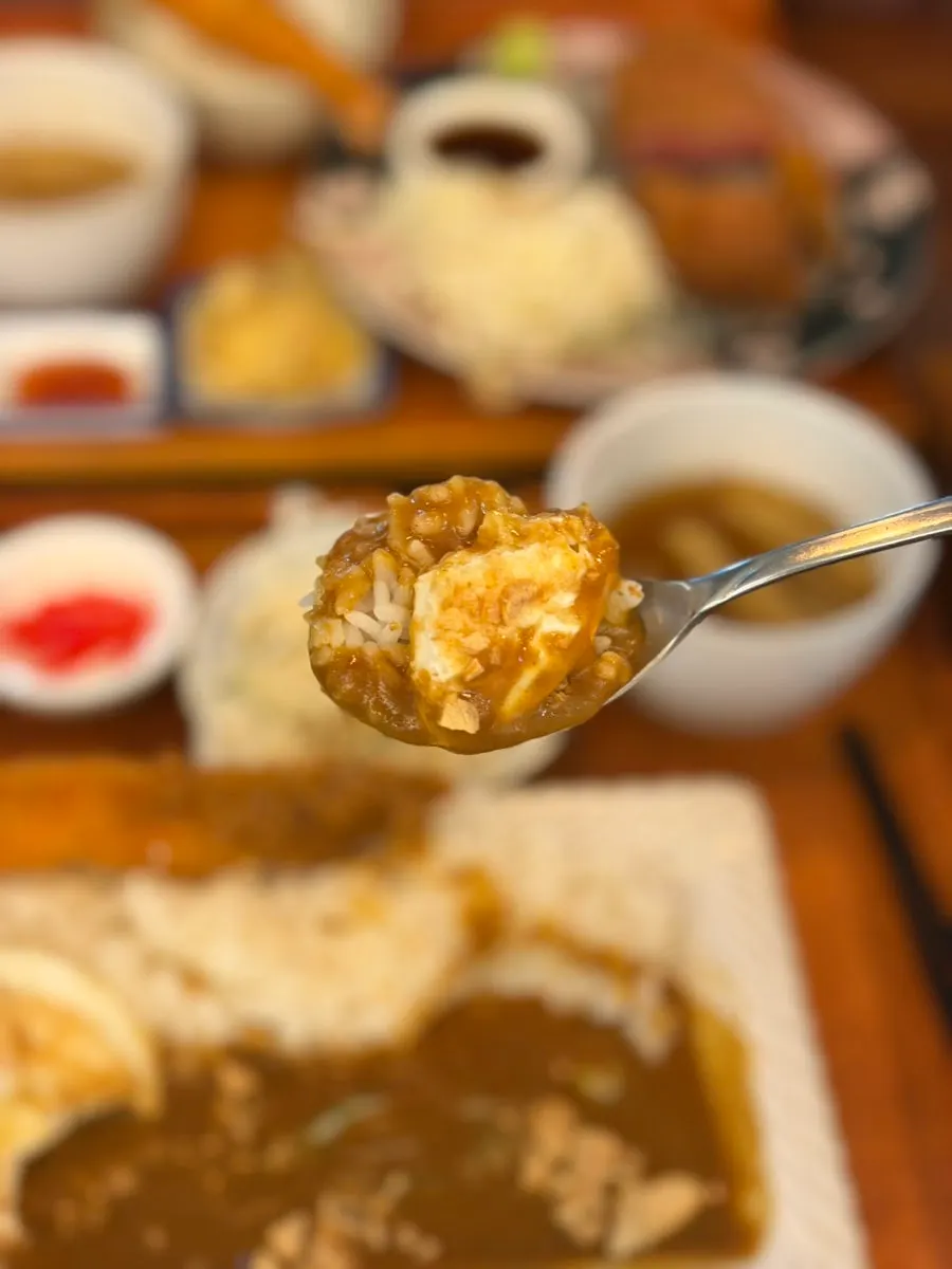 재료 없이 소스만 있는 일본식 카레 한 접시