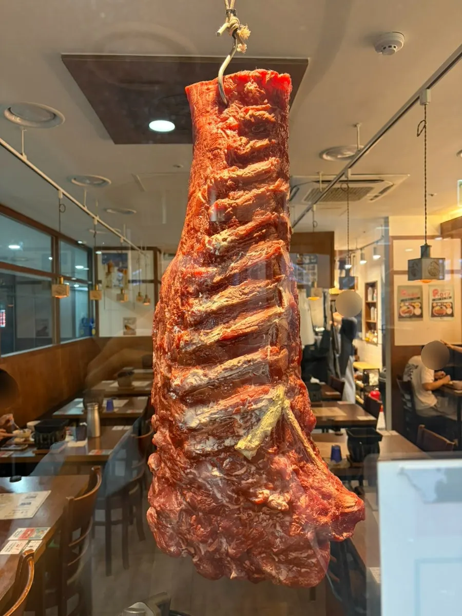 매장에 전시된 고기 모형