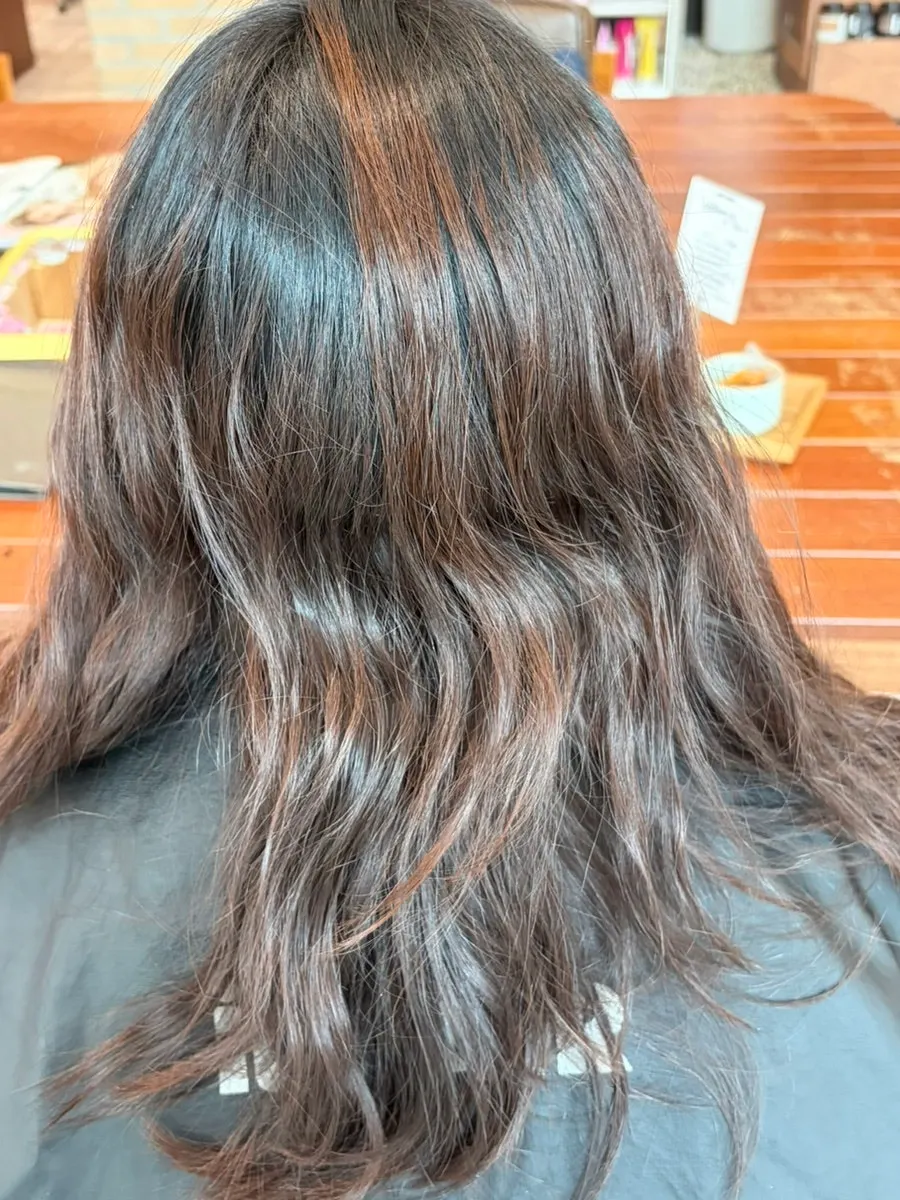 Hair after the dye job and blow-dry are finished