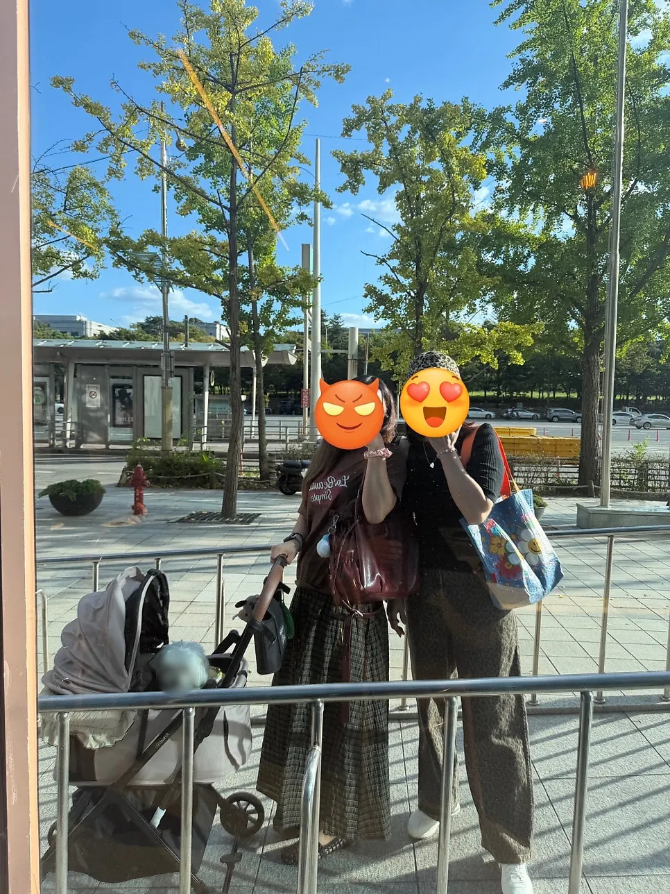 Dog in a pet stroller at Yeouido IFC Mall