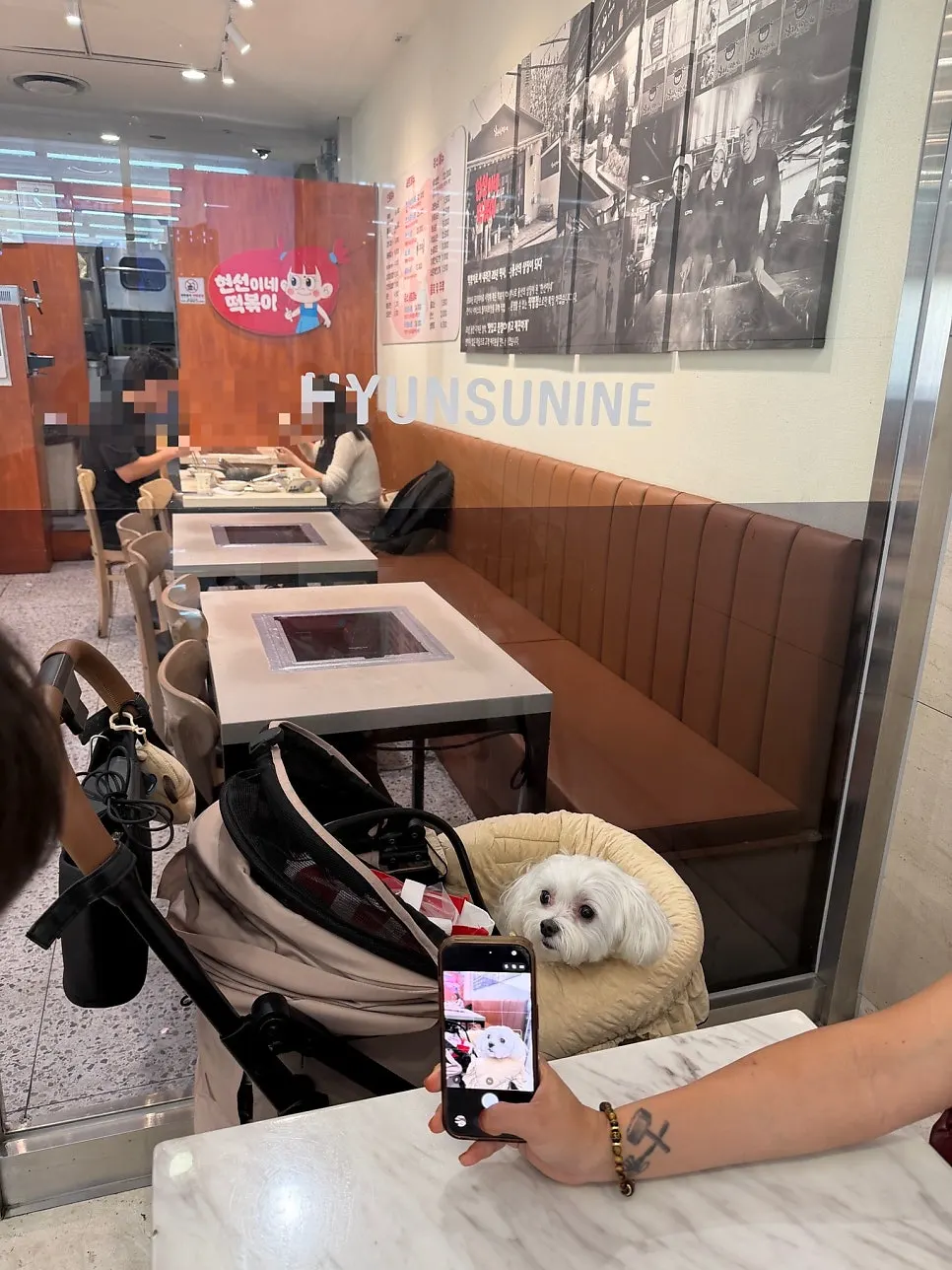 Dog-friendly outdoor seating at Hyeonseonine