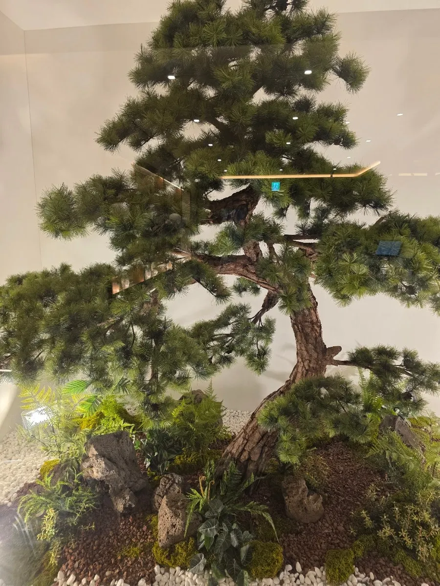 Wood-tone interior with pine tree landscaping inside the restaurant