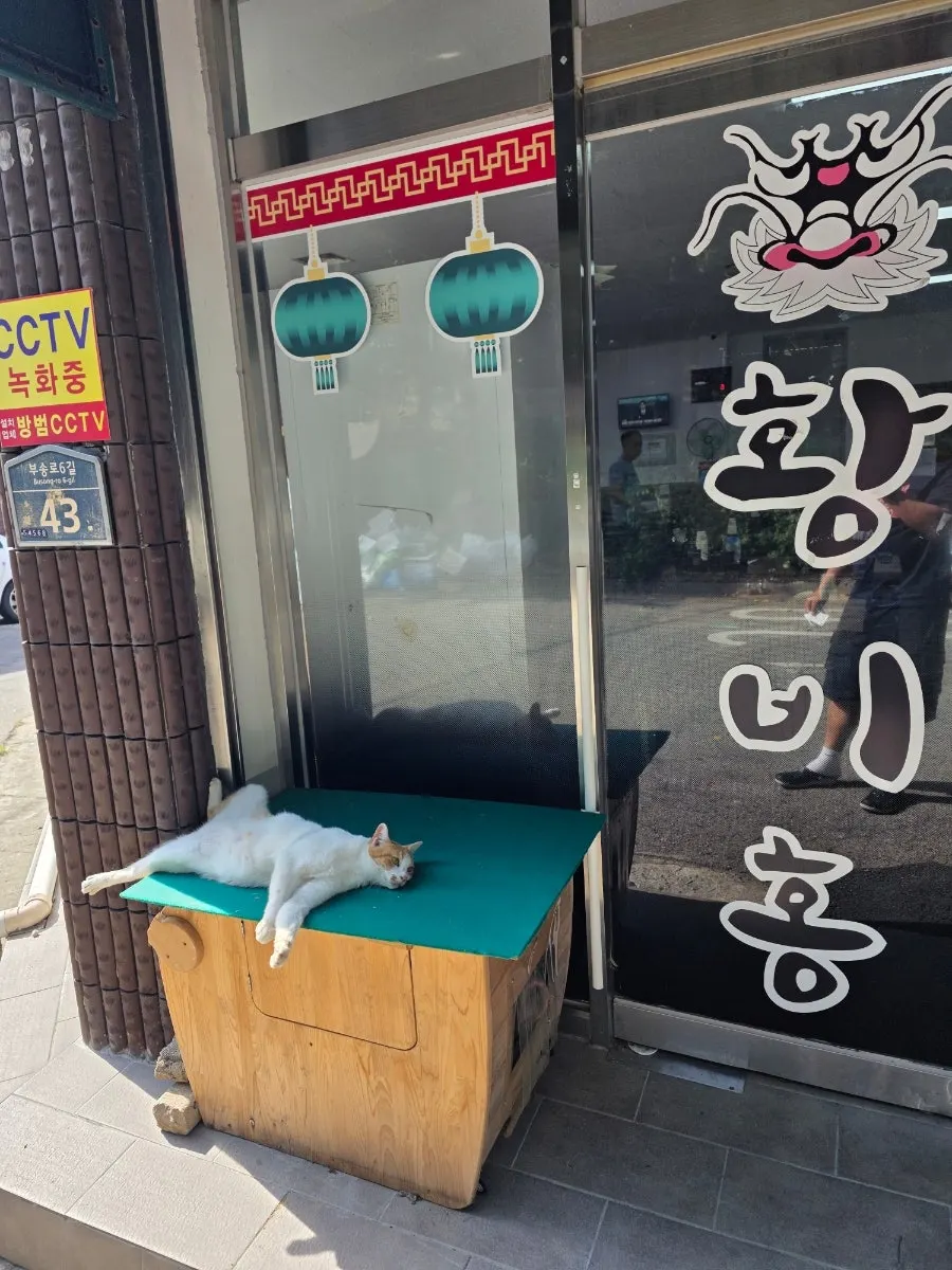 황비홍 매장 외부 모습