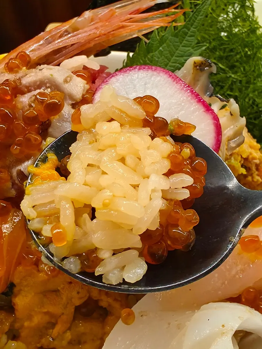 Close-up of kaisendon seafood
