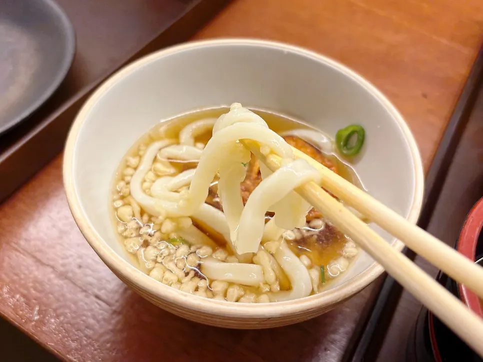 Cold udon and karaage side dish