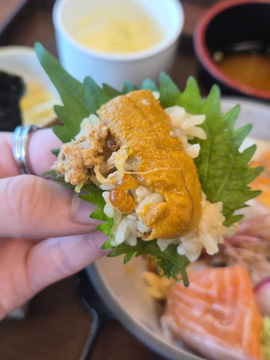 A piece of kaisendon sashimi wrapped in gamtae