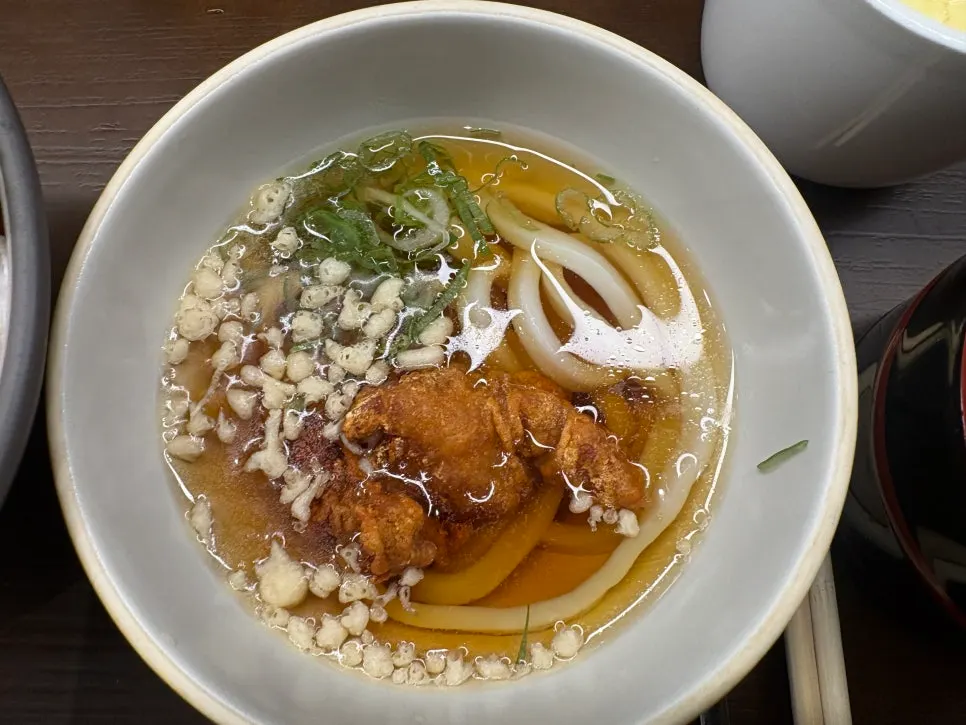 치킨가라아게가 올라간 우동 한 그릇